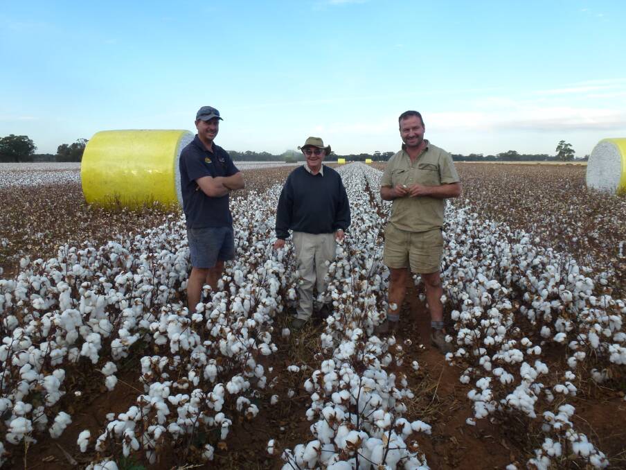 Kel Baxter and his sons Glen (left) and Noel (right) in the middle of their cotton crop which was being harvested in May 2013; Pic Riverina Plains.