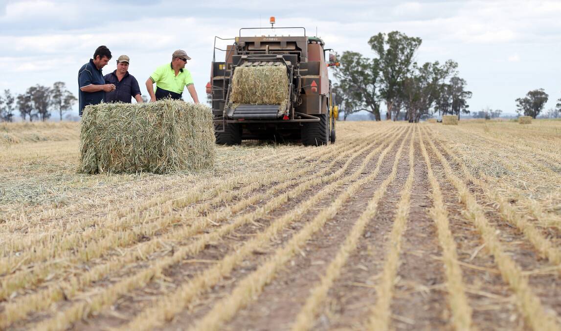  Peter, Richard  and Paul Baker cutting and baling what should have been a bumper wheat harvest; Picture John Russell