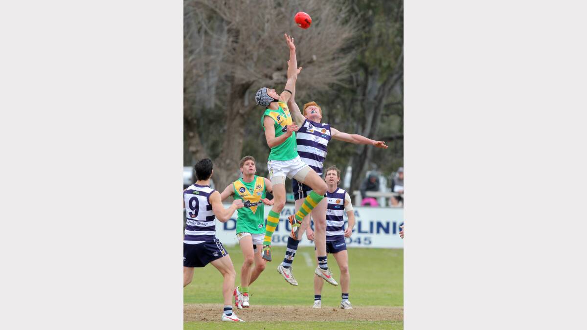 Josh Lloyd in action for the Hoppers. 
