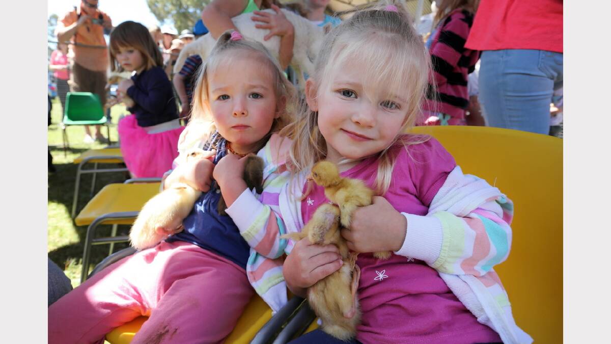  Twins Zahli and Kenzie Dean, 2, of Jindera, enjoy the ducklings at the Hay Ho Animal Nursery.