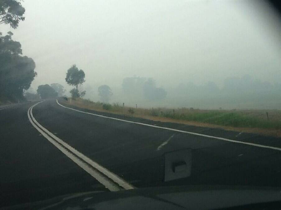  Ok, it's not up near home but on Princes Hwy near Cabbage Tree Creek. - Lenni, North East VIC (Twitter) 