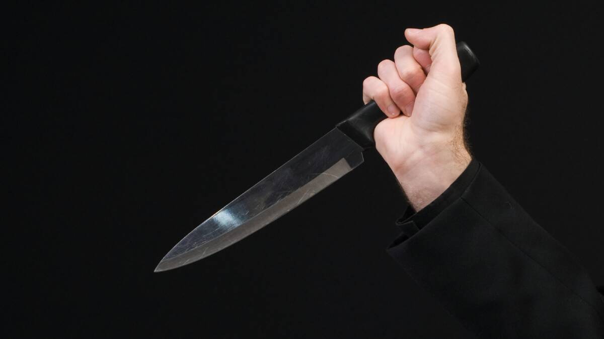 Man admits he stabbed partner