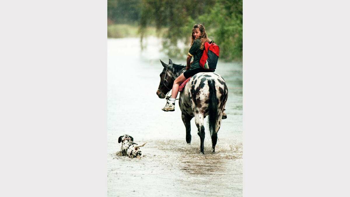 1996 - Kathy Robinson rides her horse "Charlie" while Snuff the dog wades alongside during the Murray River floods in Albury.