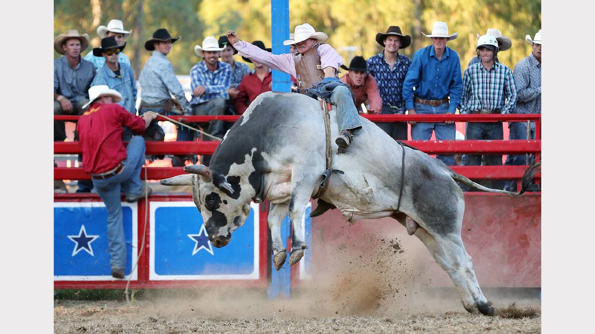2012 -  Charlie Colless hangs onto his ride during the Golden Spurs Rodeo