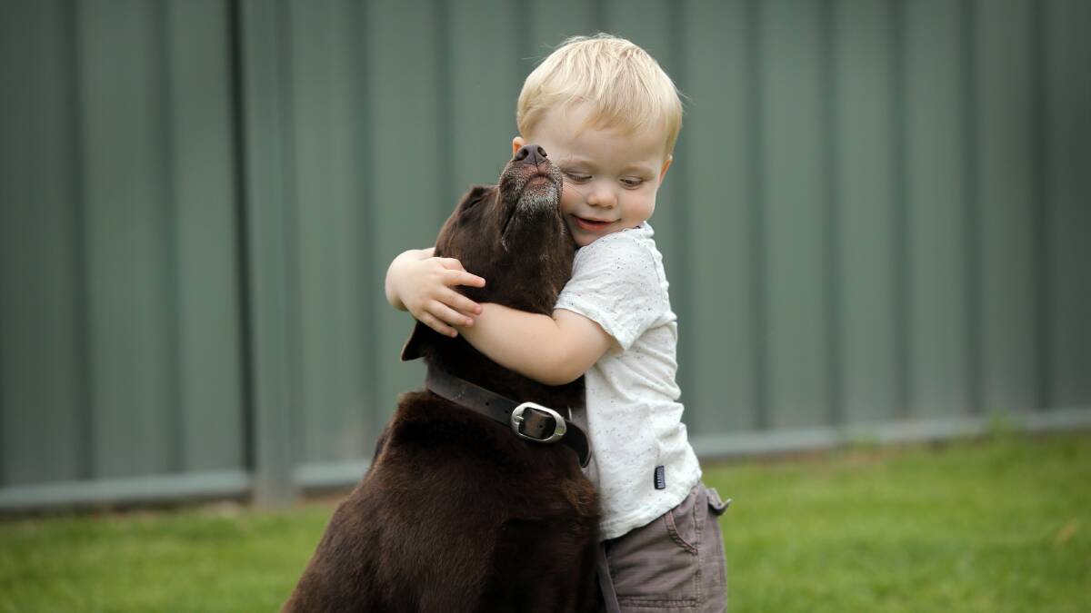  Glenroy's Lachlan Anderson, 15 months, was delighted to be reunited with his dog 'Dash' the kelpie after it ran away in fear of the new years eve fireworks. Picture: TARA GOONAN