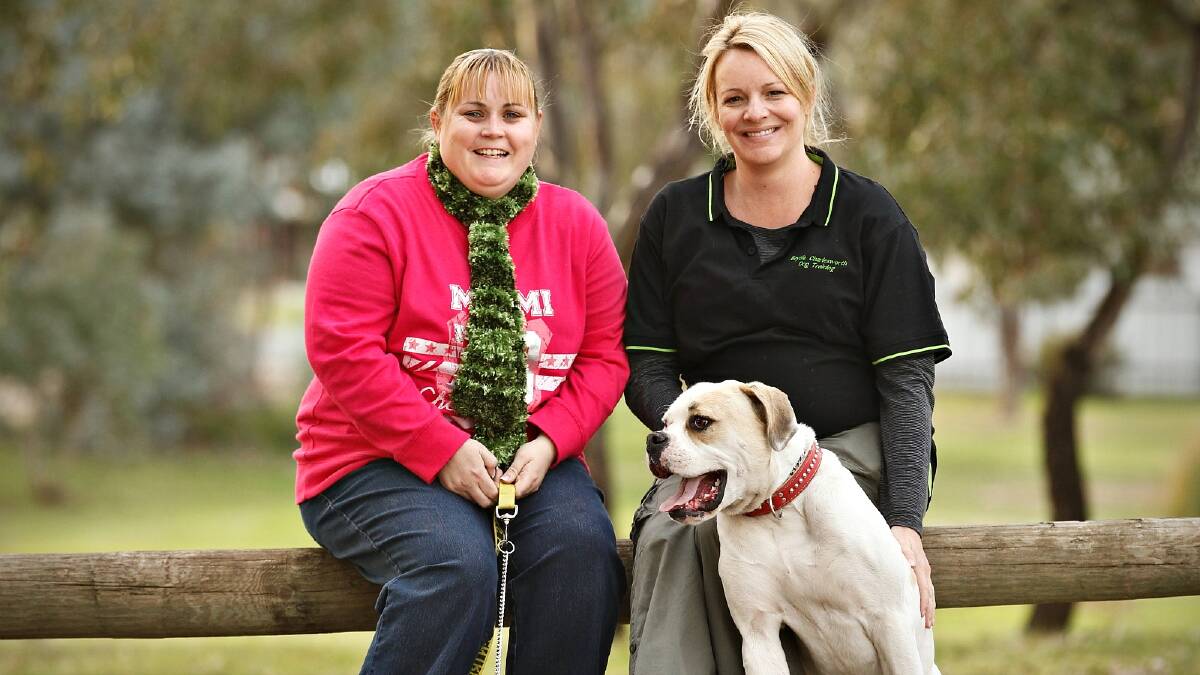 Foster carers Stacey Swan and Brydie Charlesworth with dogs Wander and Misty, who are looking for homes.