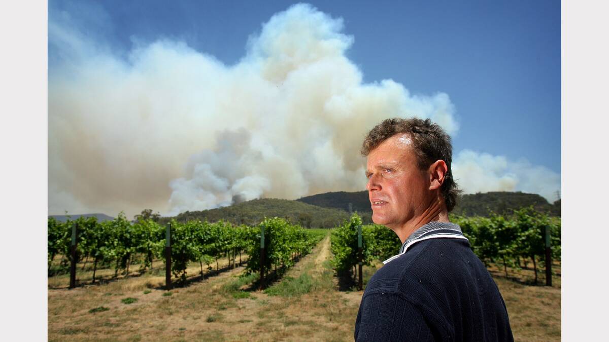 2006 December - Arnie Pizzini worried about his vines at Chrismont Wines, in the King Valley