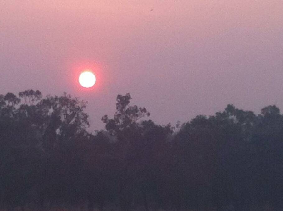 Morning sun through smoke haze over Bell's Reserve, Table Top - Peter Schneider (Twitter)