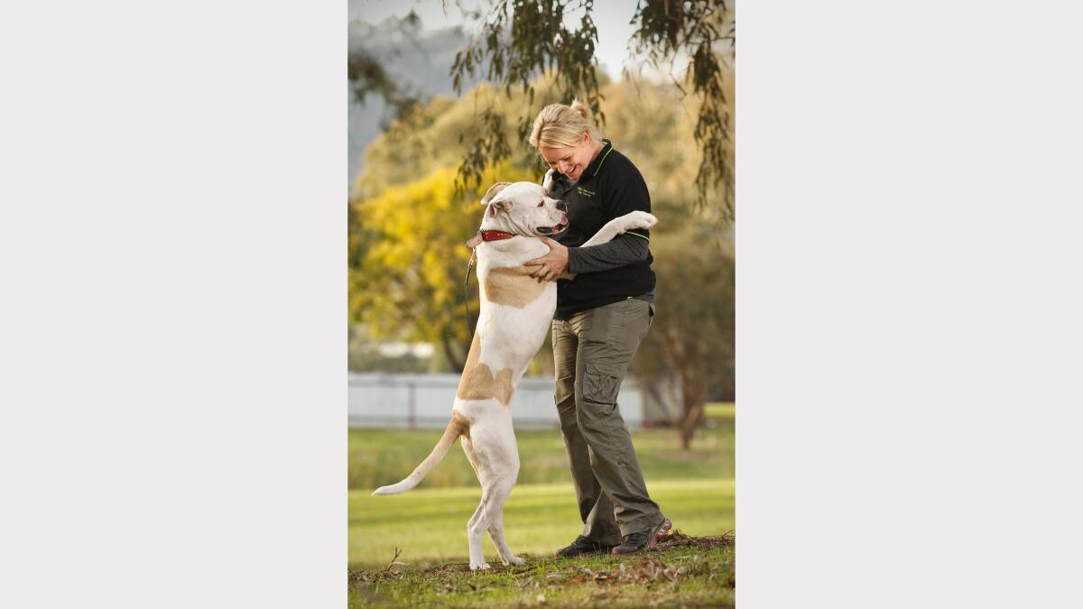 Foster carer Brydie Charlesworth with Misty, a 14-month-old American Bulldog.