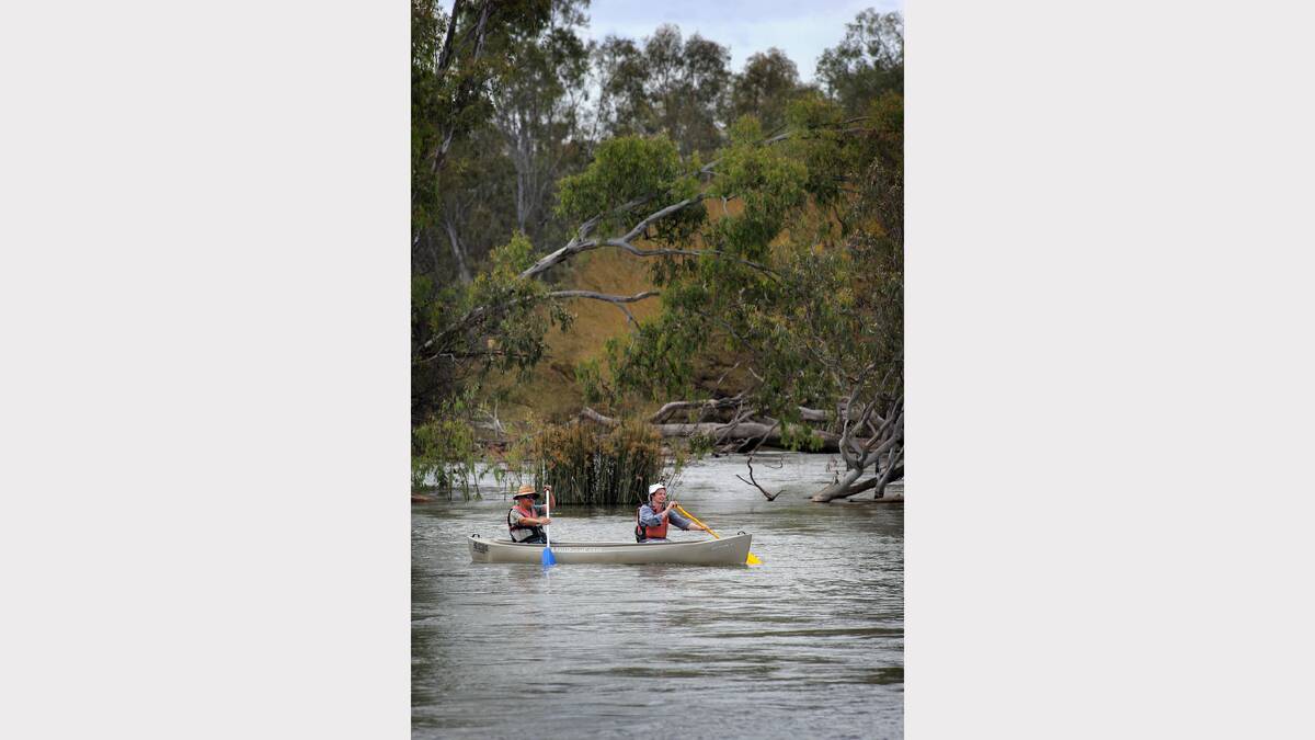 Two men negotiate trees and snags as they paddle down the river.
