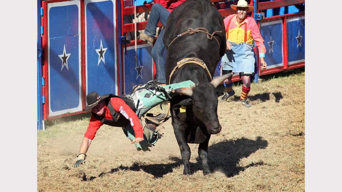 2011 - Cody Mundey, of Bowen in Queensland, takes a fall off a bull.