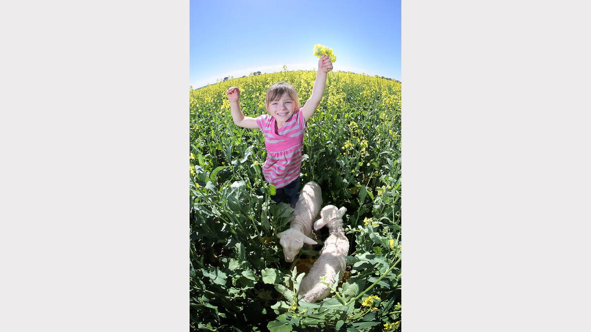 The first day of spring symbolises rebirth and reinvigoration.  Goonan captured Ella Pollard, 4, holding canola to signify new growth on the Border, while the lambs were a symbol of new life. “A 15 millimetre lens was perfect because the curve angles allowed me to get up close while still getting a lot of the scene in,” Goonan says.