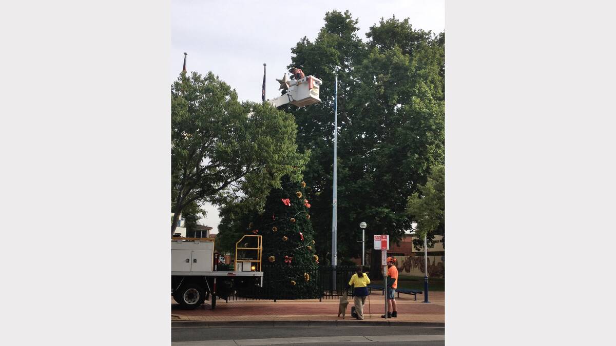 Albury Council staff return the star to the top of the Christmas tree in QEII Square. 