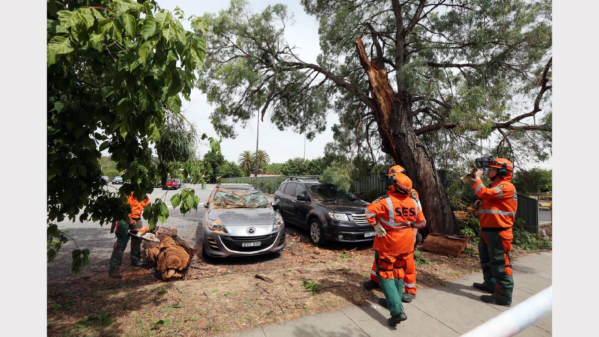 SES crews work to remove the tree branch from the damaged car. 