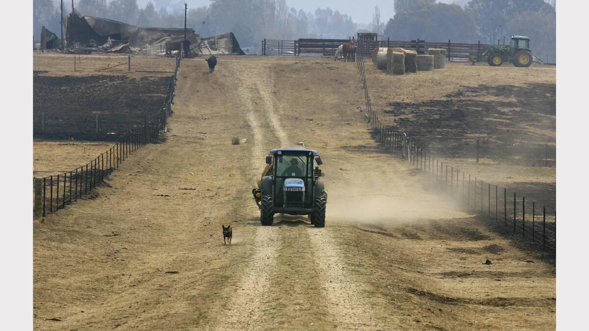 2009 February - A farmer drives through their burnt property in the aftermath of the Black Saturday fires at Mudgegonga