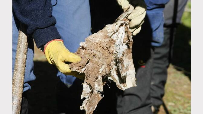 2007 - Police examine a nappy found near Slaughteryard Creek Road in day 3 of a search for Daniel Thomas' body. 