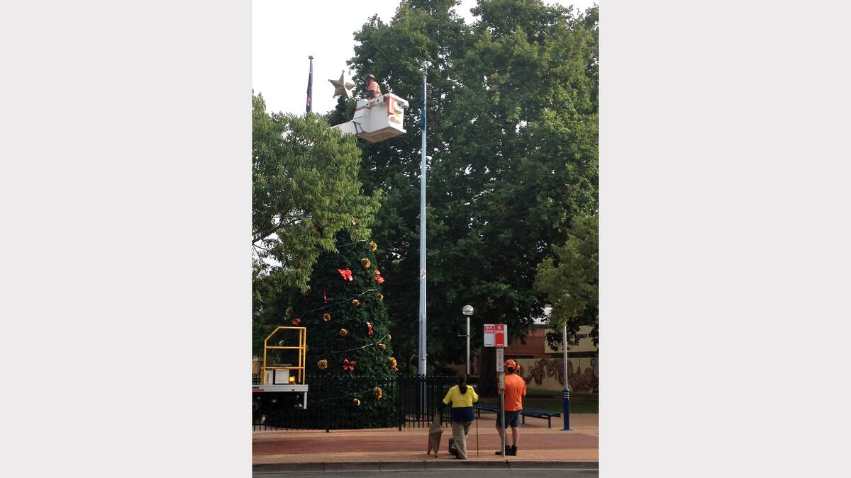 Albury Council staff return the star to the top of the Christmas tree in QEII Square. 
