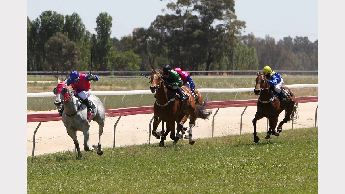  Fugitive Miss leads the Murray Lodge Holiday Units Maiden Plate 1300m.