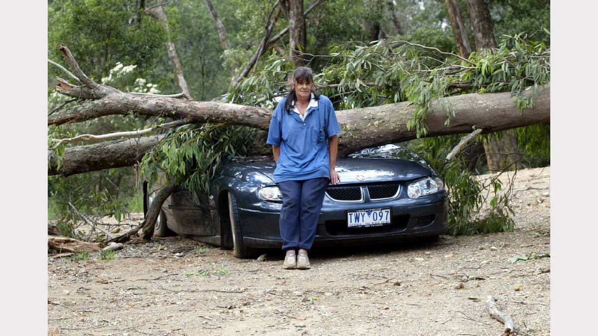 This lady was lucky to escape injury after a tree fell on her car while she had stopped to clear branches on the road. December, 2005 