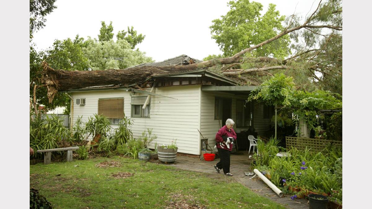Tree fell on woman's home in Carcoola Street, North Albury. December, 2005