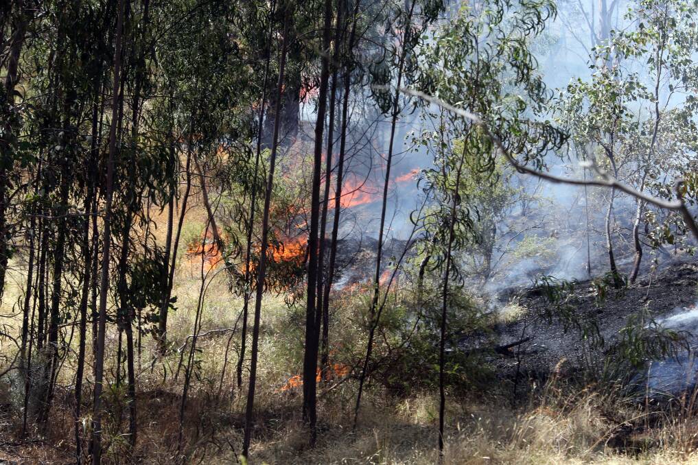 A torched car sparked the blaze that tore through 20 hectares of land at Nail Can Hill. Picture: PETER MERKESTEYN