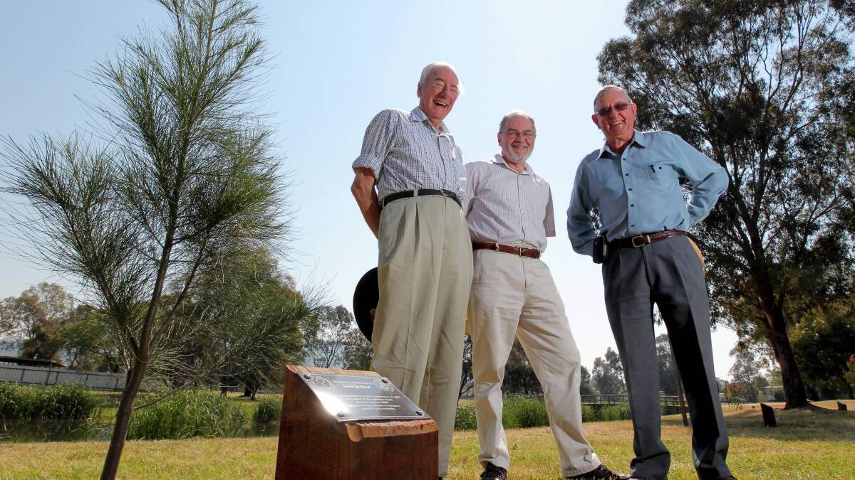George Baur, Hans Drielsma and Joe Murphy were among the 24 who yesterday joined 170 forestry greats with trees dedicated to them at Lavington’s National Foresters’ Grove. Picture: DAVID THORPE