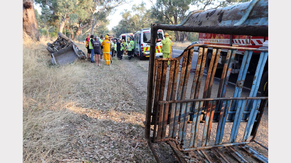 A ute was destroyed after the driver lost control while towing cattle in a trailer last night.