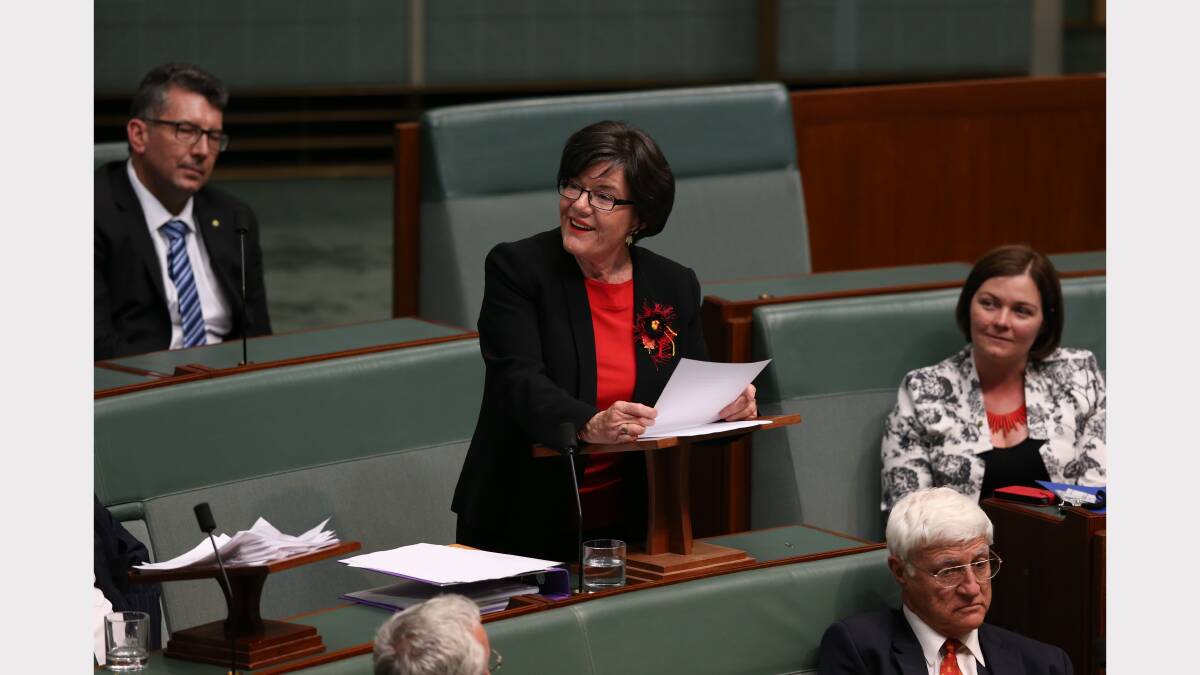 Cathy McGowan delivers her maiden speech at Parliament House.