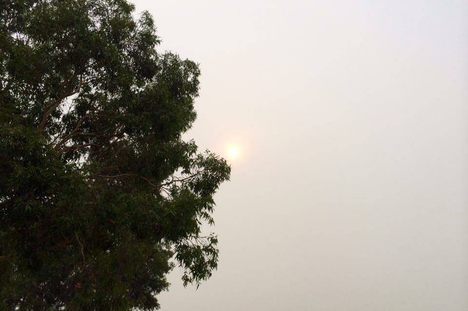 West wodonga sun at 9am - not so bright today - Rowena Barton (Facebook)