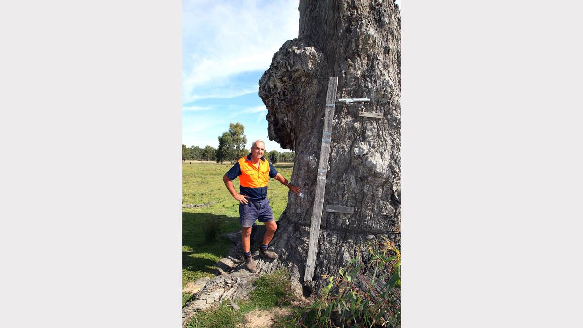 2012 - Corowa. Maurice Wilson with a stick gauge showing various flood levels over the years.