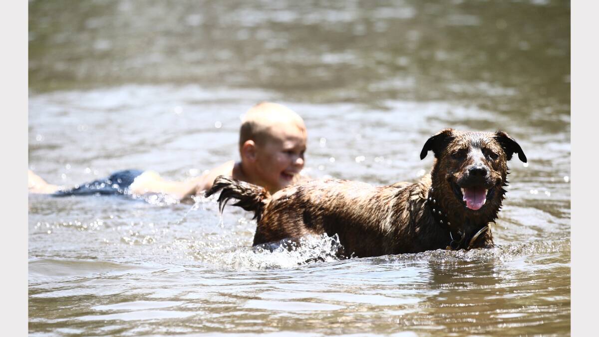 Brady Vauhkonen, 8, swims with Sid the dog. 