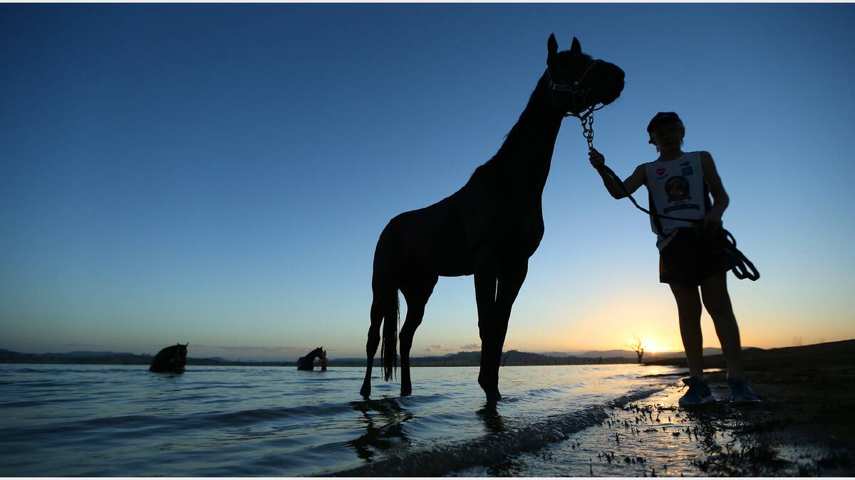 am Cavanough with Niblick at a dawn training session at Lake Hume in preparation for the Albury Gold Cup. “It’s exposed for the sky to maintain that rich colour while ensuring that the horses remained silhouetted,” Russell says. “To me, this photo is about the expectations of both horse and trainer as a new day dawns leading up the big race.”