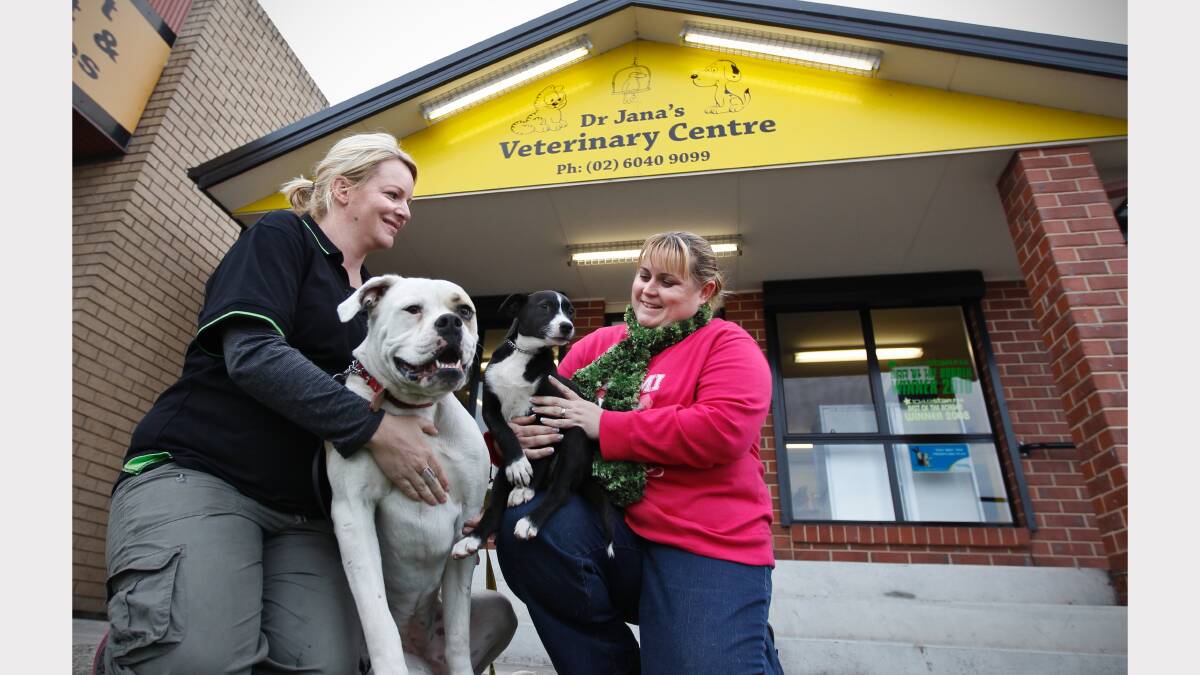 Foster carers Brydie Charlesworth and Stacey Swan  with dogs Wander and Misty, who are looking for homes.