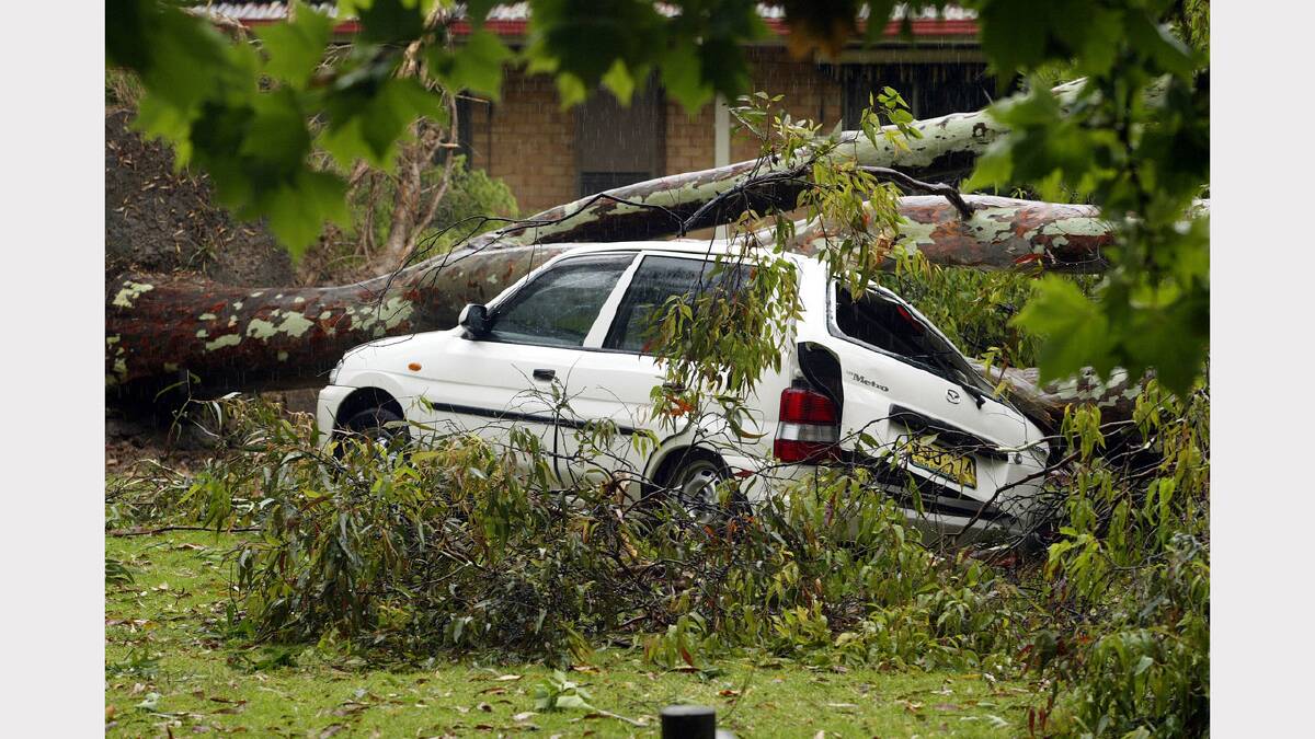 A car was crushed beneath a tree in a storm at The Scots School, Albury. December, 2005