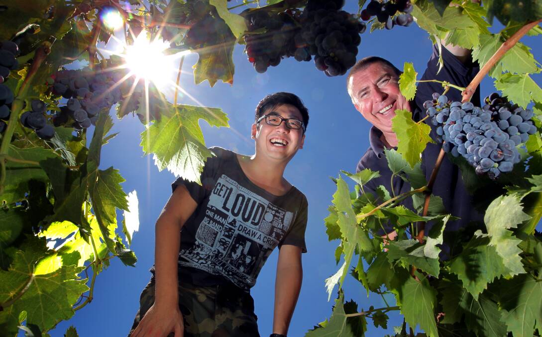 Jack Liu and Michael Murtagh at the Vintara winery. Picture: DAVID THORPE