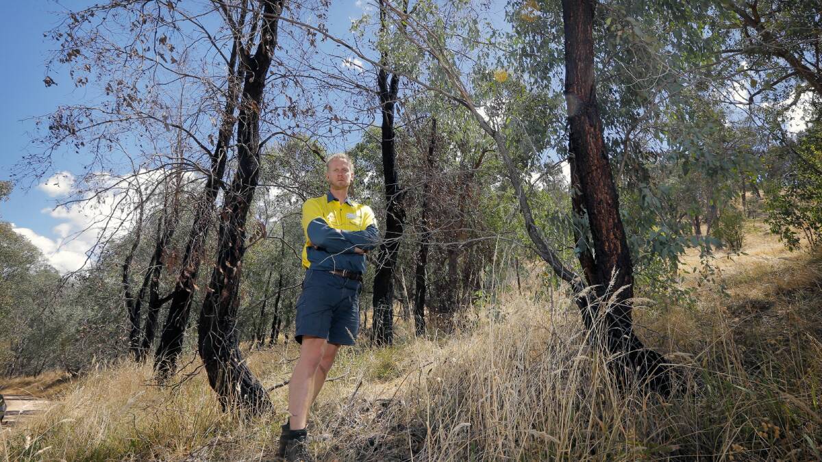 Albury Council’s Steven Onley hopes he will receive the evidence to prosecute those who have poisoned trees on Nail Can Hill. Picture: TARA GOONAN