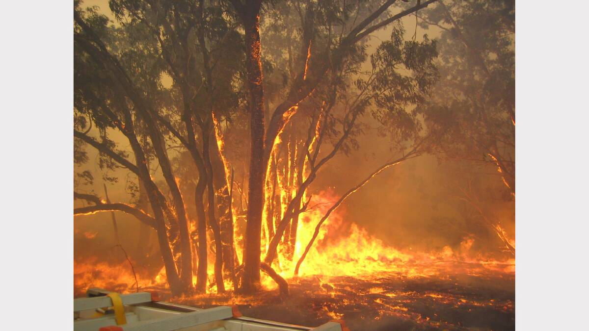 2006 February - Bushfire between Tarcutta and Holbrook. Picture: LESLEY FORD