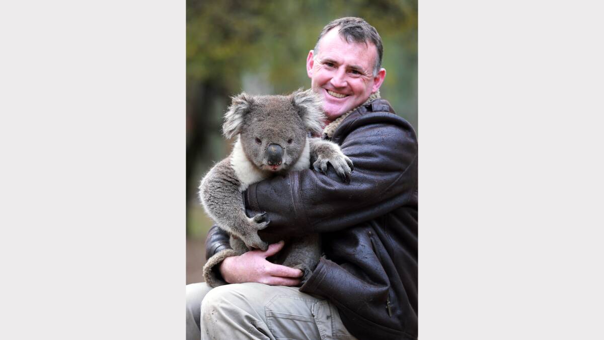 Cross-border anomalies could've killed Koala