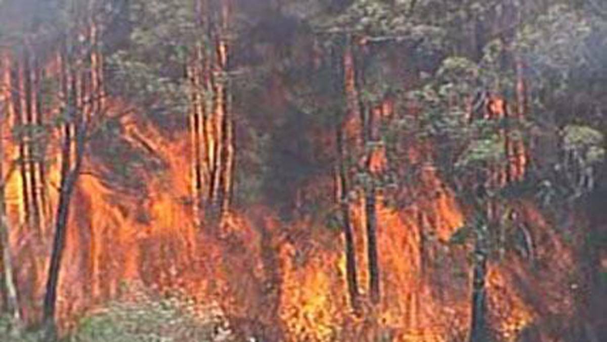 An image from the Channel 7 chopper taken over Stockrington over the fire moving towards Minmi.