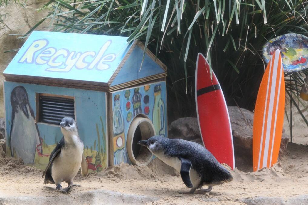 Artist Rachel Carroll's works have transformed the nesting boxes of Sydney Aquarium Little Penguins, as part of the New Homes and Gardens exhibit. Photo: Peter Rae 