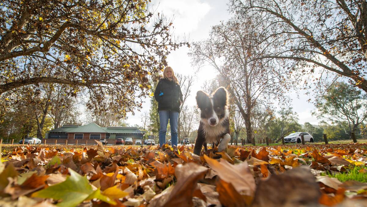 POST-RAIN PLAYTIME: Kate Allen of Albury with her dog Strada in the leaves at Noreuil Park Foreshore after a good night of rainfall. Picture: MARK JESSER