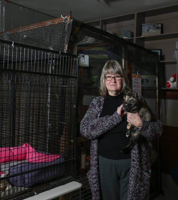 NO SURRENDER: Shirley Giles of Wodonga Dog Rescue said that they're struggling to find room for surrendered pets with a recent increase in pets being handed over. Picture: TARA TREWHELLA