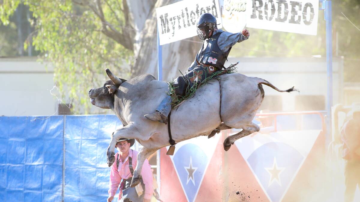 STRONG GRIP: The 67th year of the Mrytleford Lion Golden Spurs rodeo was cancelled for the second time this year. Picture: KYLIE ESLER