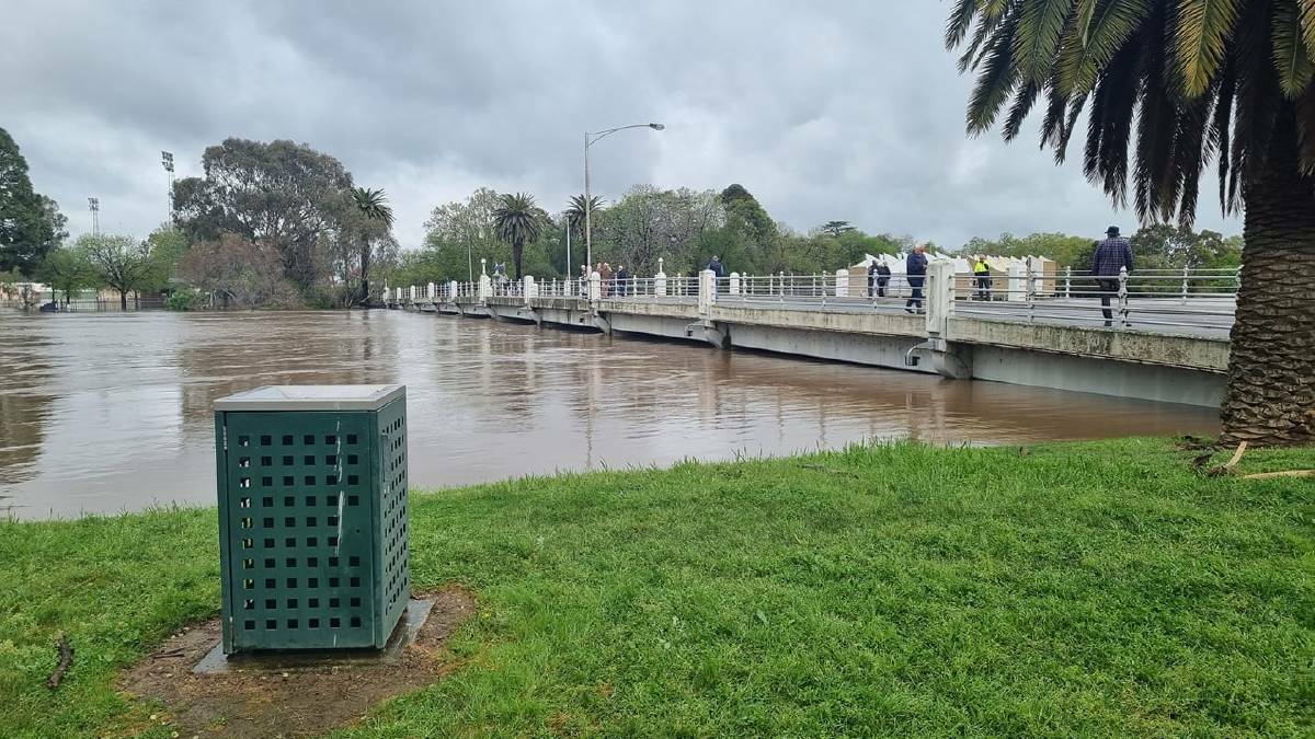 The water came high up the banks of Lake Benalla, rising up to the Monash Bridge, which connects one side of Benalla to the other. Picture by Samantha Louise Coats.