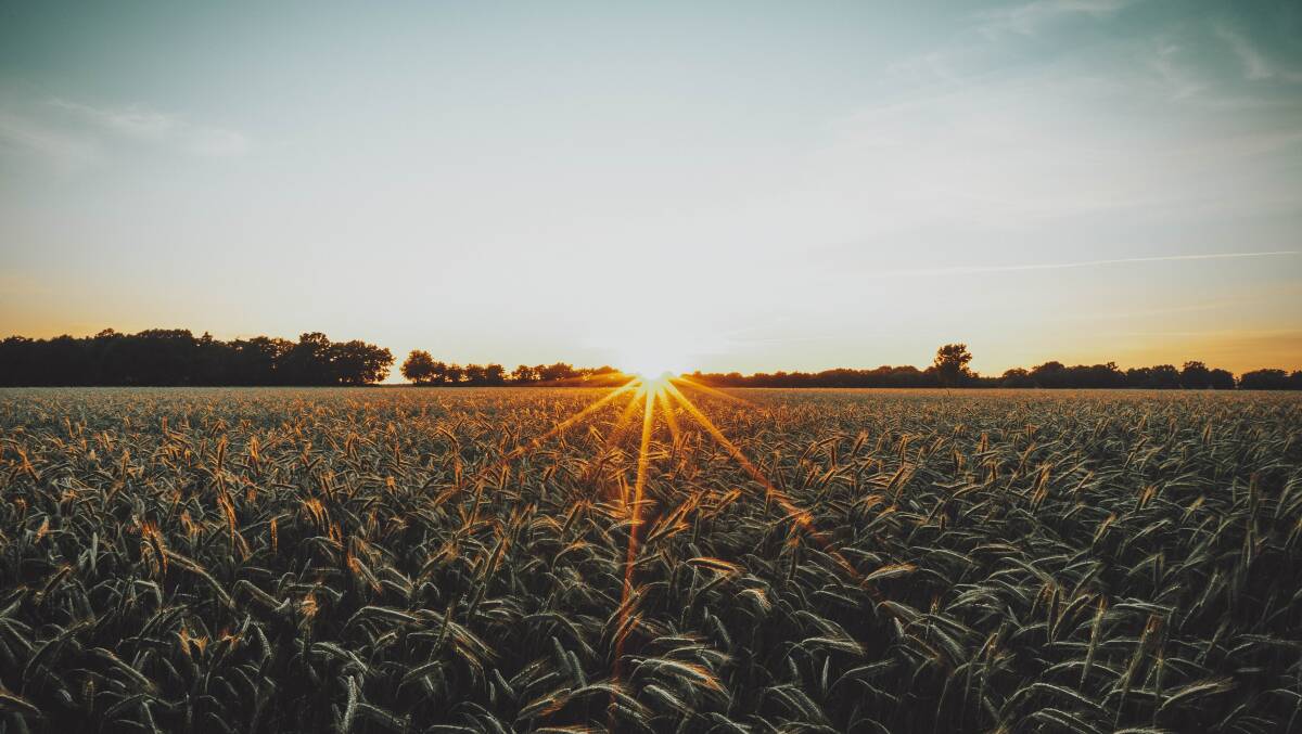 MONEY IN SOIL: The National Carbon Farming Conference 2022 will be held in Albury, educating farmers and stakeholders about the industry. Picture: TIM HUFNER on Unsplash