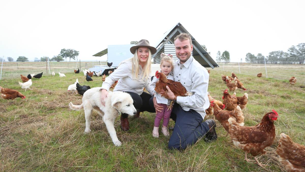 HEALTHIER LIFESTYLE: Sarah, Jack and Charlotte (2) Stow on their property 'Oakley farm', near Burrumbuttock. The family runs a regenerative chicken farm. Pictures: JAMES WILTSHIRE