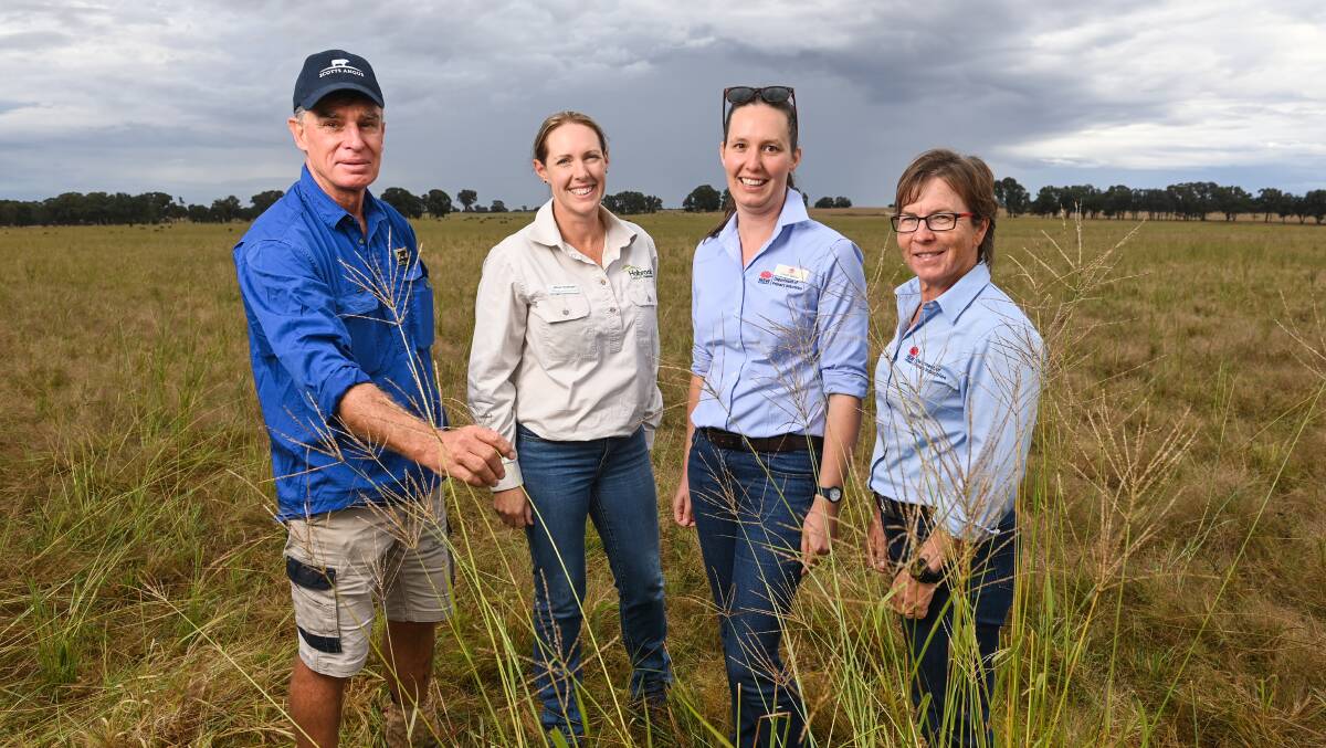 WELCOME RAIN: Henty producer Steven Scott with Holbrook Landcare's Alison Southwell and NSW DPI researchers Sarah Baker and Suzanne Boschma. Picture: MARK JESSER