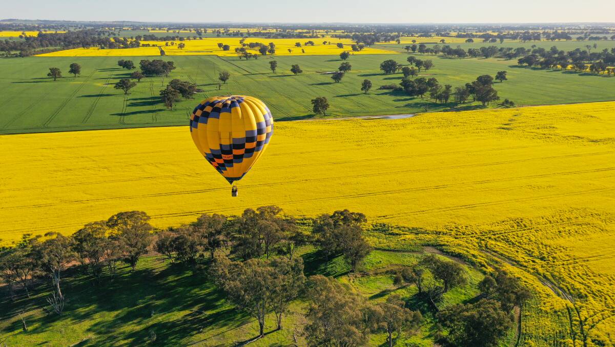 Goldrush Ballooning has launched new 'Canola Flights' this spring. Pictures: MARK JESSER