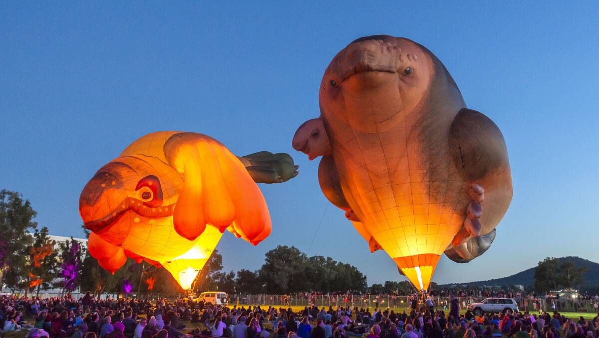 INFLATING: The Skyewhale hot air balloon sculptures are heading on a tour around Australia. Photo: courtesy of the National Gallery of Australia.