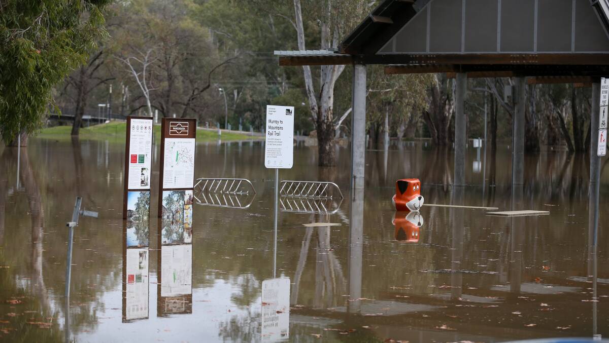 GOING FOR A SWIM: Flood waters rose as high as Yogi bear's chin at the Apex Park in Wangaratta on Monday morning, after heavy rainfall in the North East over the weekend. Picture: TARA TREWHELLA